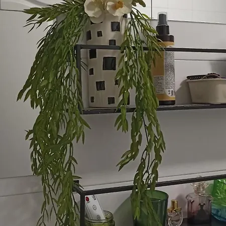 Apartment Kucica Slobodica